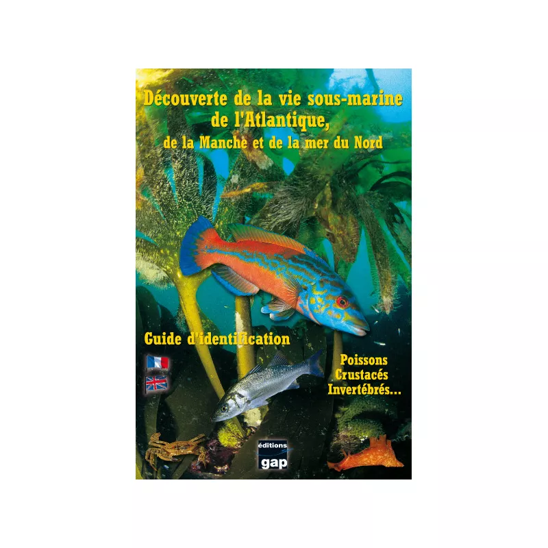 Découverte de la vie sous-marine de l'Atlantique, la Manche et la Mer du Nord  - GAP