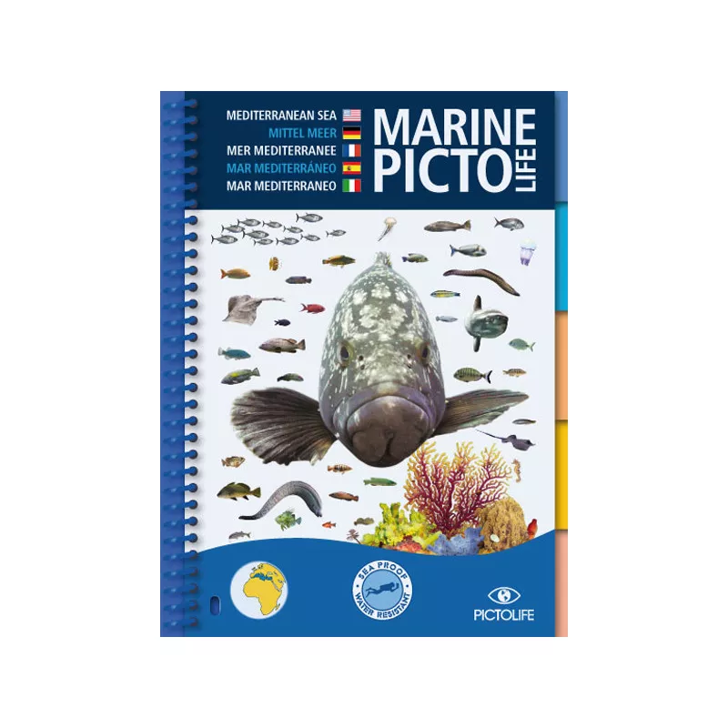 Marine PICTOLIFE Méditerranée  - GAP