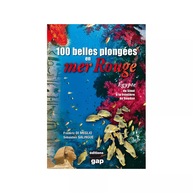 100 belles Plongées en mer Rouge  - GAP