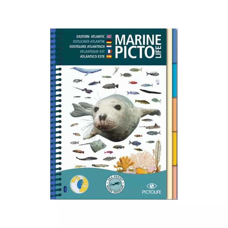 Marine PICTOLIFE Atlantique Est  - GAP