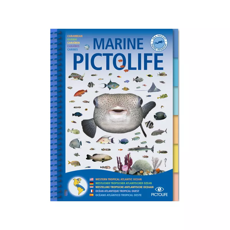 Marine PICTOLIFE Atlantique Tropical Ouest  - GAP