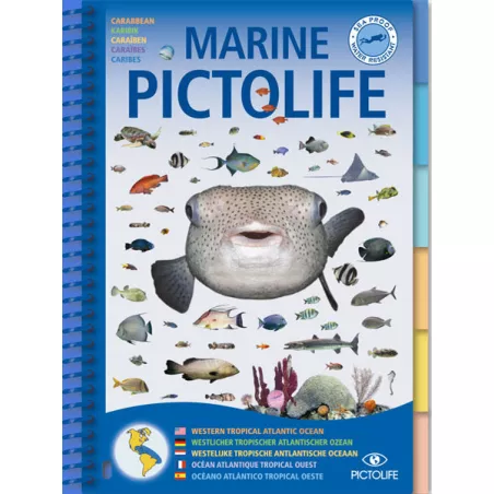 Marine PICTOLIFE Atlantique Tropical Ouest  - GAP