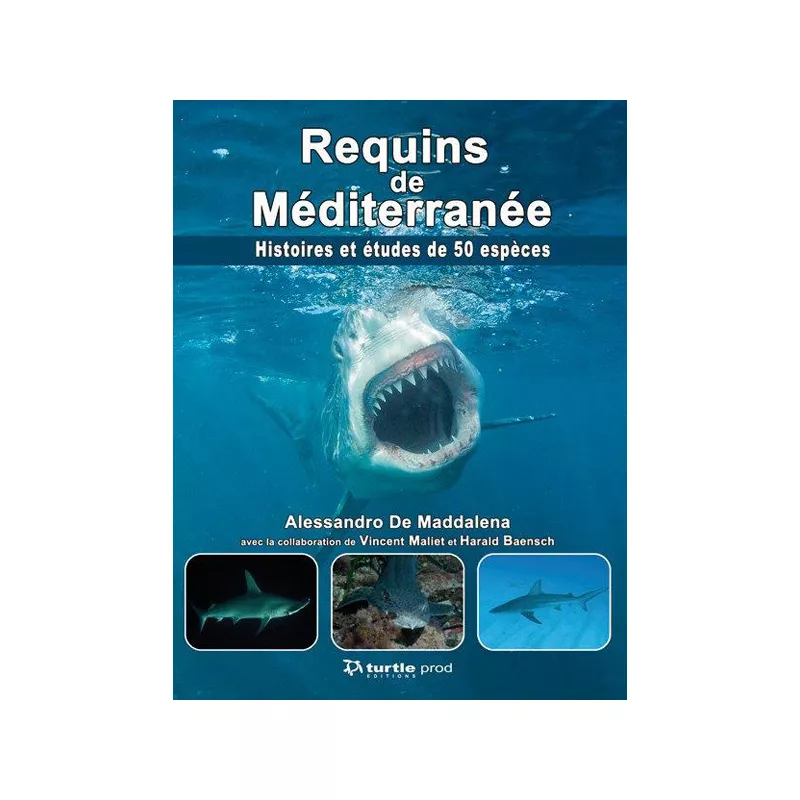 Requins de Méditerranée  - GAP