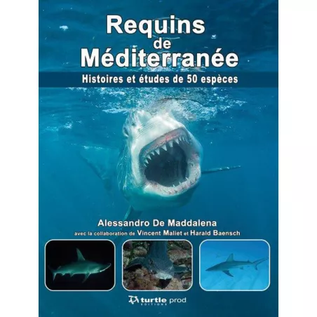 Requins de Méditerranée  - GAP